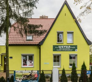 Ветеринар работа в Европе